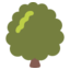 🌳 🌳